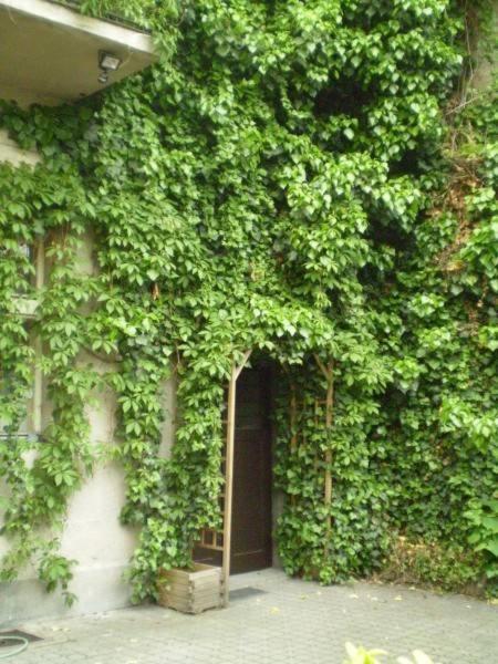Rossa Apartment