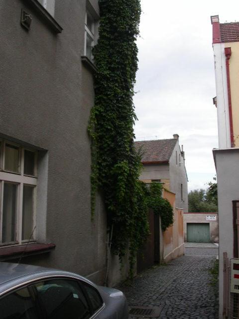 Rossa Apartment